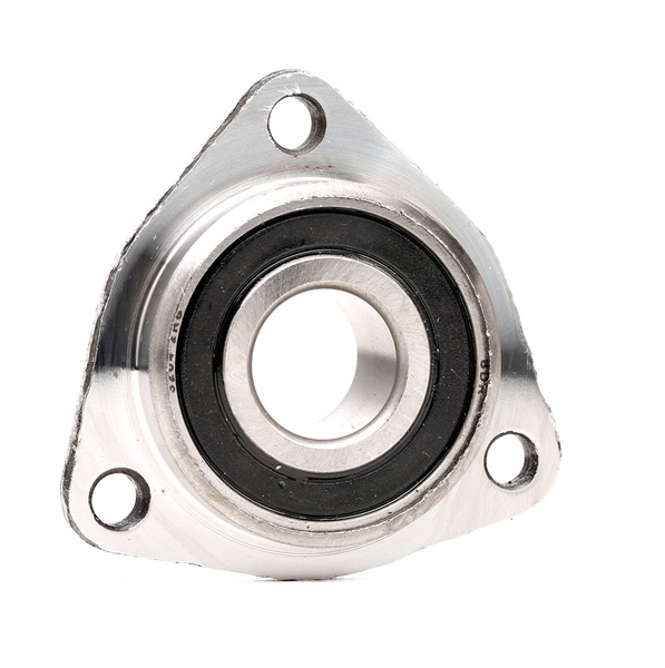 BSP23352 BUGIAD BSP23352 Cojinete, eje ventilador - refirgeración motor