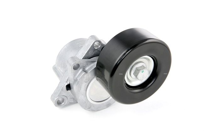 SKTP-0600121 STARK Polea tensora NISSAN KUBISTAR