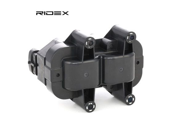 1208076 OE RIDEX Zündspule 689C0125