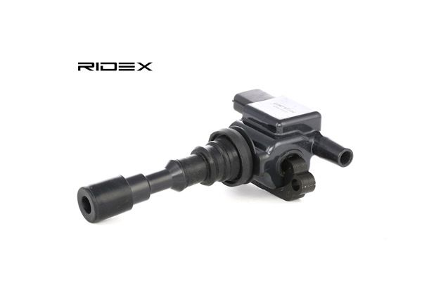Bobina d'accensione RIDEX 689C0177 adatti per HYUNDAI, KIA prezzi economici