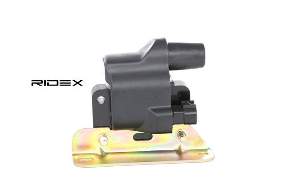 RIDEX F2G91810X Bobine