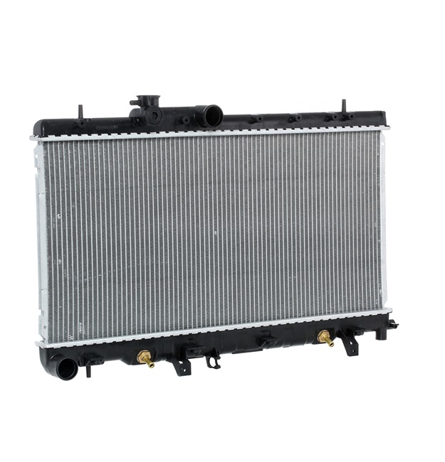RIDEX 45119AE003 Radiateur