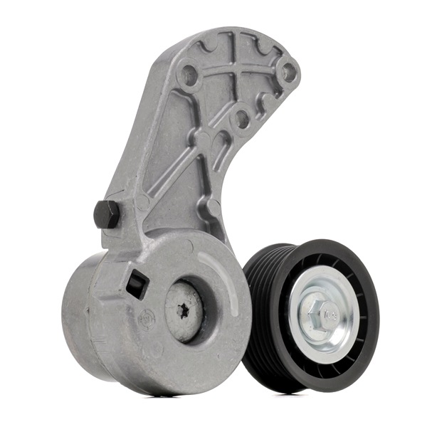 STARK SKTP-0600231 Polia tensora VW Touareg 1 3.2 V6 Gasolina 241 cv 2004 preço