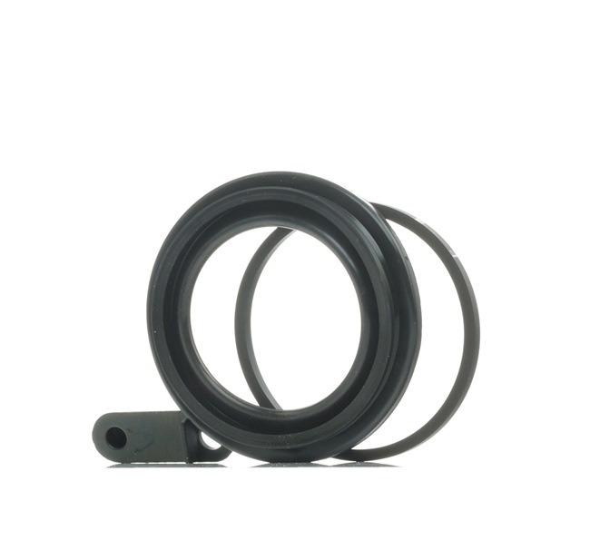 RIDEX 405R0021 Kit de reparación de pinzas de freno MERCEDES-BENZ Clase E Sedán (W210) E 220 D 2.2 (210.004) Gasóleo 95 cv 1999 precio