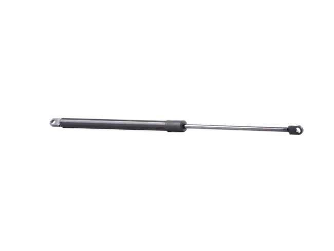219G0278 RIDEX 51248103118 Heckklappendämpfer