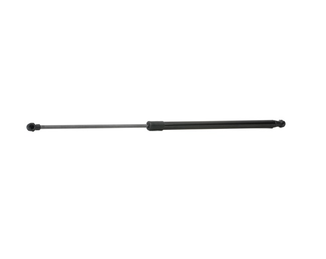 219G0209 RIDEX 74820S1EE01 Heckklappendämpfer