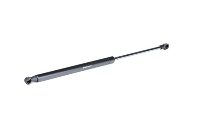 RIDEX 514G0029 Motorhaubendämpfer ALFA ROMEO 166 (936) 3.0 V6 24V Benzin 220 PS 2003