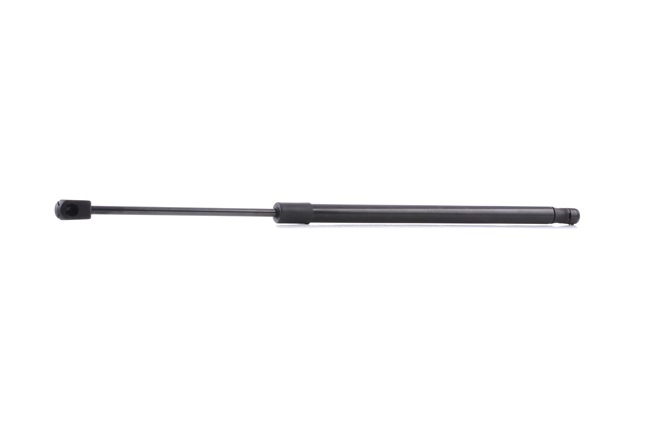RIDEX 219G0307 Tailgate struts RENAULT Scénic II (JM) 2.0 Petrol 135 hp 2008 price