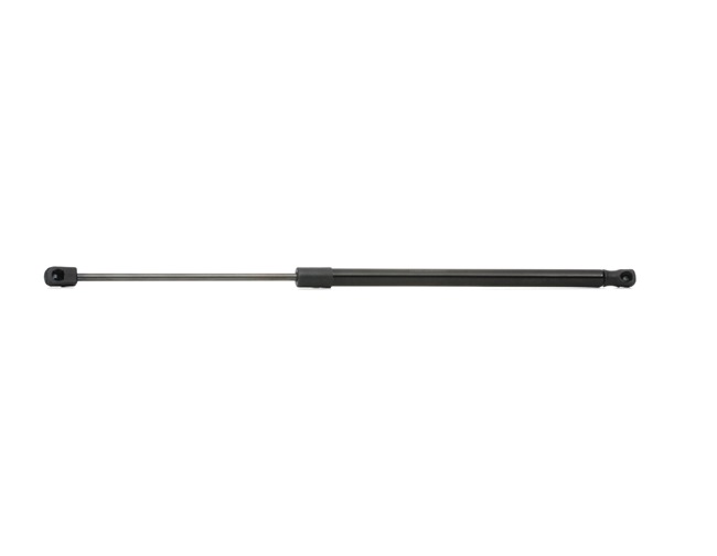 RIDEX 93ABA406A10C1B Gasveer achterklep