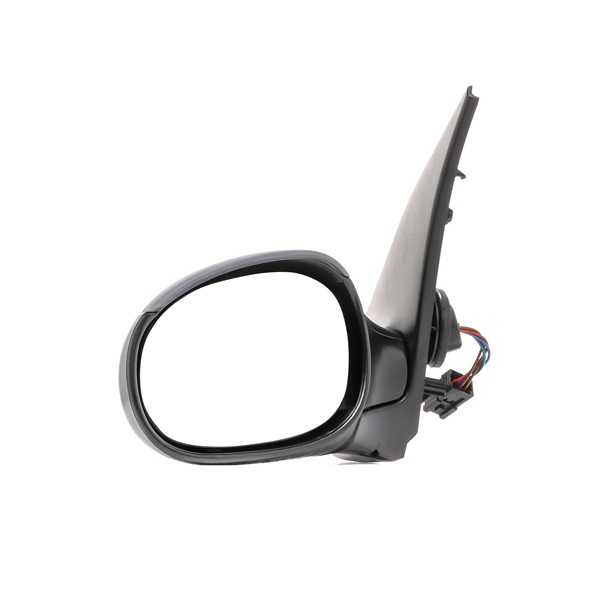 50O0173 RIDEX Side mirrors PEUGEOT 206
