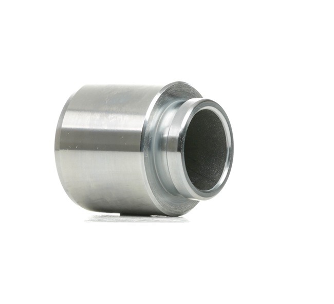 RIDEX 2248P0008 Brake caliper piston MITSUBISHI Galant VII Saloon (E50) 2.5 V6-24 4WD Petrol 170 hp 1996 price