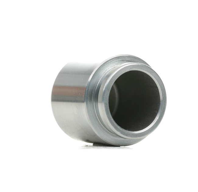 RIDEX 2248P0005 Kolben, Bremssattel MITSUBISHI PAJERO 4 (V8W, 59W) 3.0 4WD 184 PS Benzin 2023