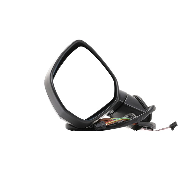 6325G8 OE RIDEX Außenspiegel 50O0077