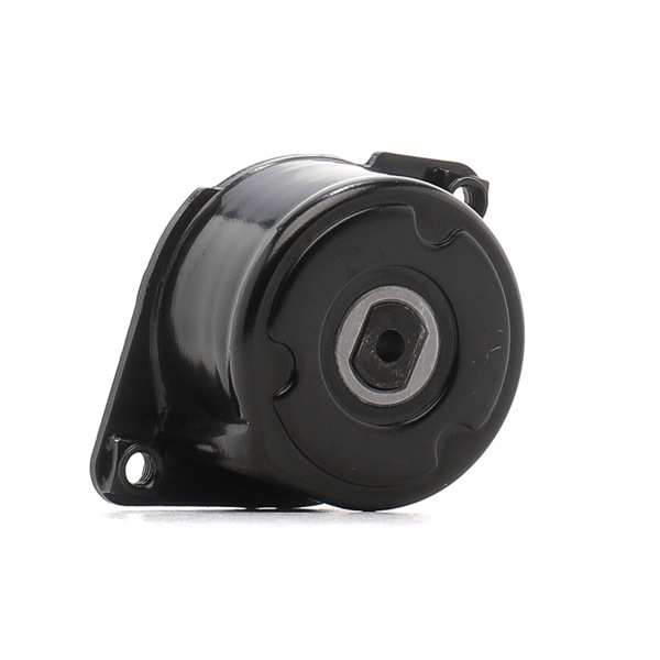 RIDEX 541V0042 Remstrammer, kileribberem BMW 5 Touring (E39) 525d 2.5 Diesel 163 hk 2004 pris