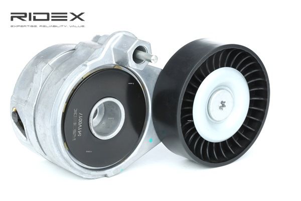 RIDEX 541V0017 Tendicinghia, cinghia poly-v AUDI A6 Avant (4B5, C5) RS6 4.2 quattro Benzina 450 CV 2005 prezzo