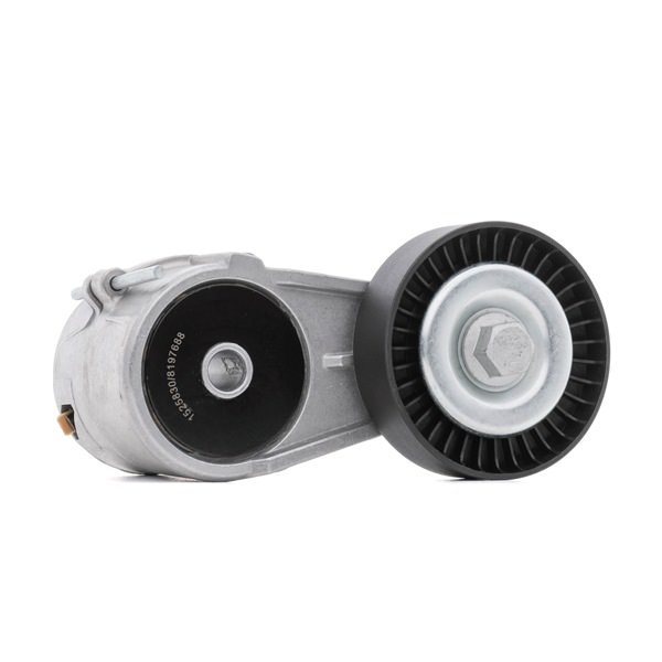 RIDEX 310T0025 Spanrol, poly v-riem OPEL Corsa C Hatchback (X01) 1.6 (F08, F68) Benzine 84 Pk 2009 kosten