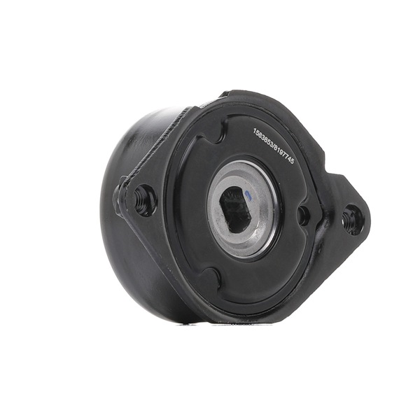 RIDEX 310T0196 Spannrolle BMW 3er E46 330d 3.0 204 PS Diesel 2005