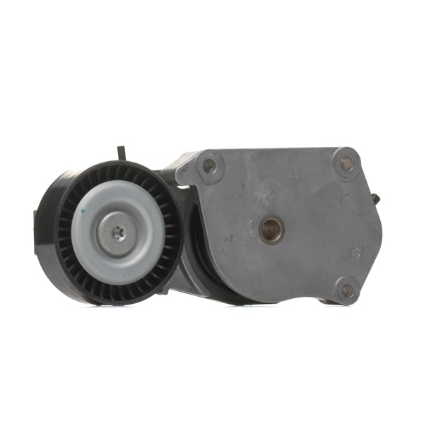 originalni Chrysler VOYAGER RIDEX Napenjalni valj, rebrasti jermen 310T0144