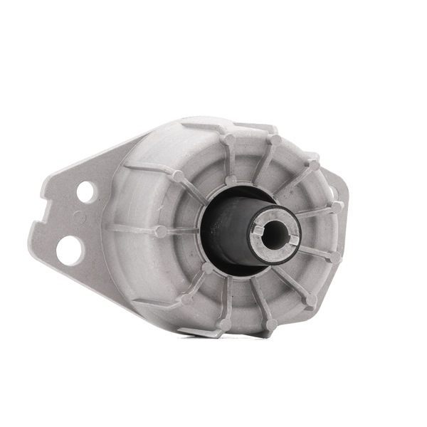 46455421 OE STARK Vlezajenje, motor SKEM-0660196