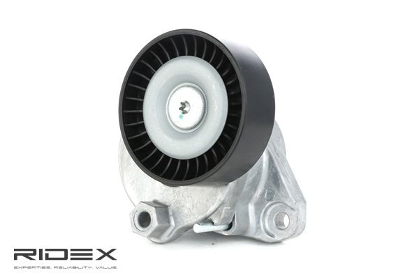 RIDEX 04862624AA Spanrol, poly V-riem