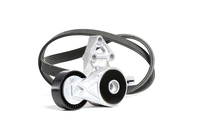 DAYCO KPV261 Poly v riemen kit SKODA Octavia 1 Combi (1U5) 2.0 Benzine 116 Pk 2000 kosten