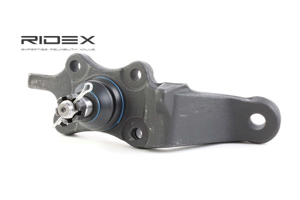 4333039585 OE RIDEX Bærekugle 2462S0207