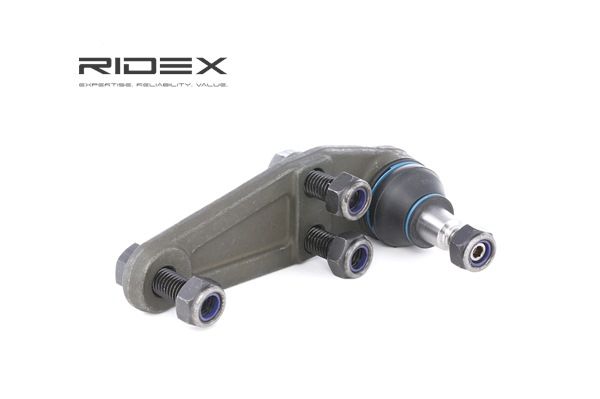 2462S0135 RIDEX 1228799 Traggelenk