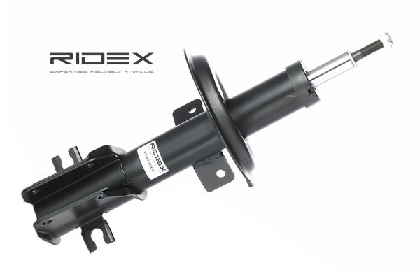 RIDEX 854S1502 Amortecedor de suspensão Fiat Marea Weekend 2.4 JTD 130 Diesel 130 cv 2000 preço