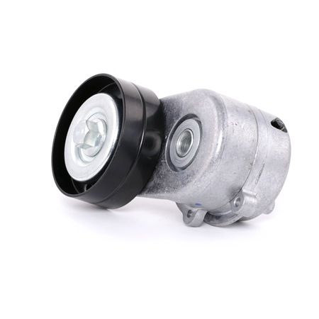 04861630AA OE RIDEX Rullo tenditore cinghia Poly-V 310T0053