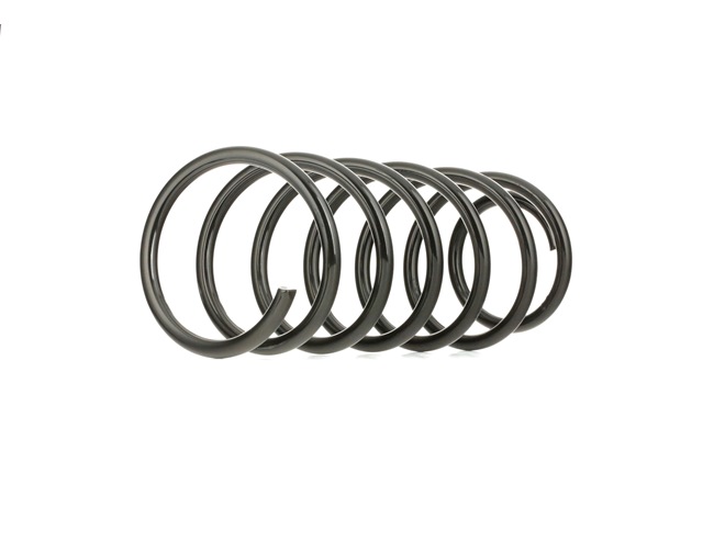 188C0012 RIDEX 1H0411105A Fahrwerksfeder