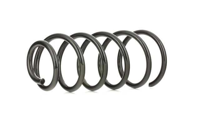 RIDEX 1J0411105BH Chassisveer