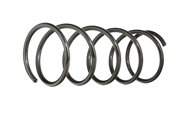 1067134 OE RIDEX Fjeder 188C0101