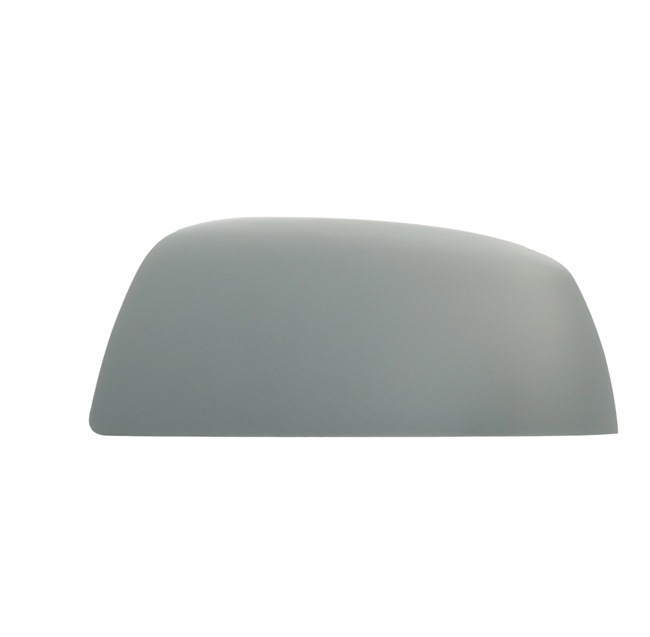 originale Ford FOCUS TYC Sidespejle 310-0112-2