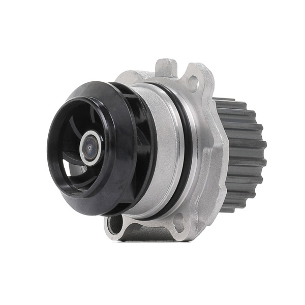 INA 538 0006 10 Vandpumpe Seat Toledo 1m 1.9 TDI Diesel 110 HK 2002 pris