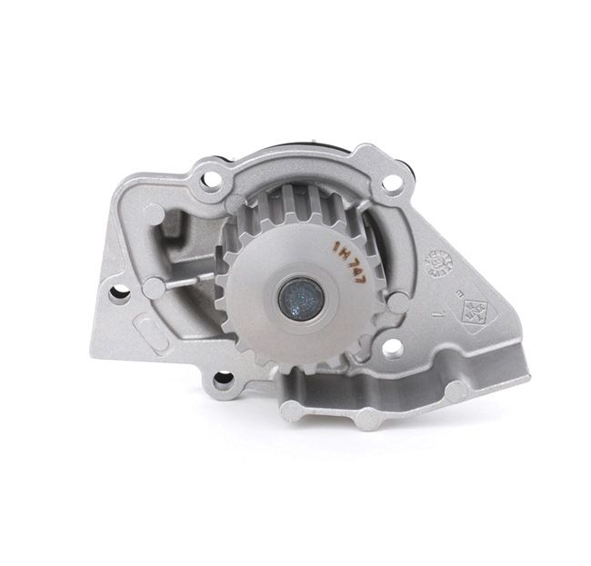 INA Water pump 538 0008 10