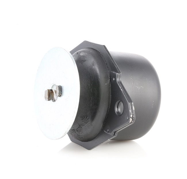 3A0199402 OE RIDEX Suporte, motor 247E0013