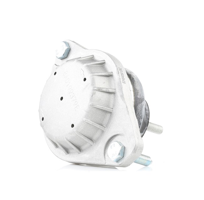 247E0030 RIDEX 8A0199379E Motorlager