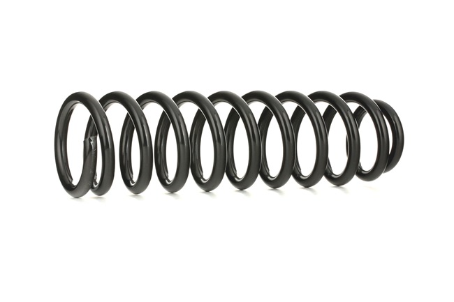 51401S10A22 OE RIDEX Fahrwerksfeder 188C0047