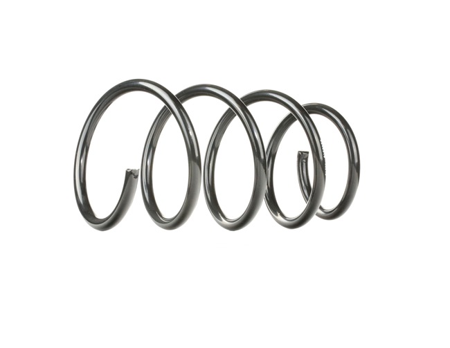 RIDEX 188C0121 Coil spring RENAULT MEGANE Scenic (JA0/1_) 1.9 dT (JA0Y) Diesel 94 hp 1999 price
