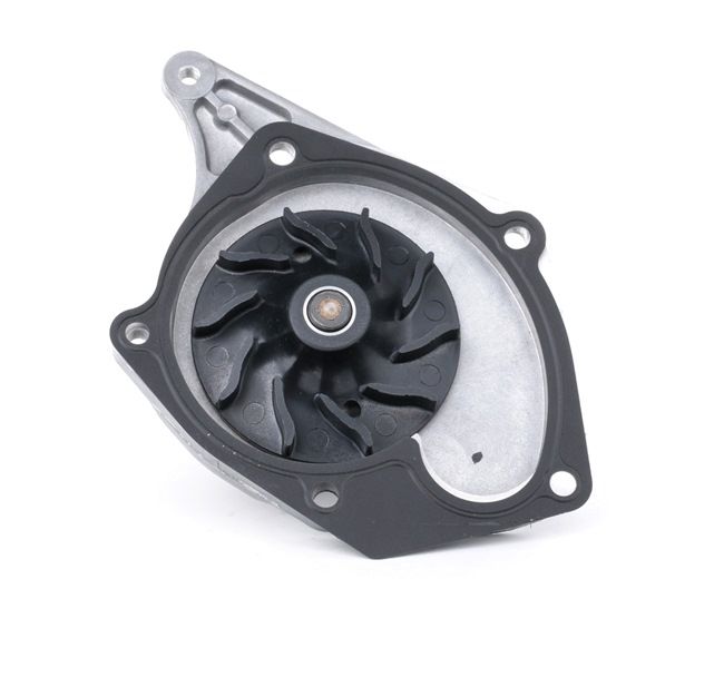 INA 538 0047 10 vandens siurblys Renault Clio 2