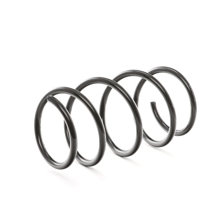 540100002R OE RIDEX Пружина ходовой части 188C0325