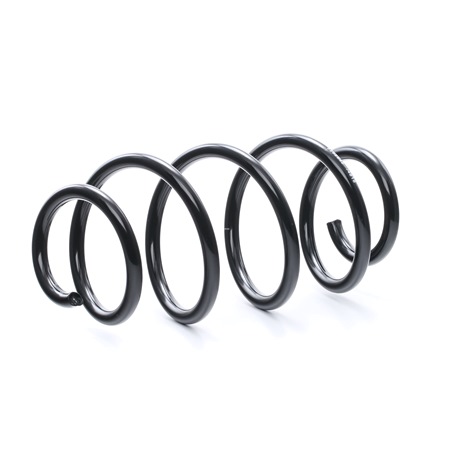 RIDEX 1K0411105CD Spiralfjäder