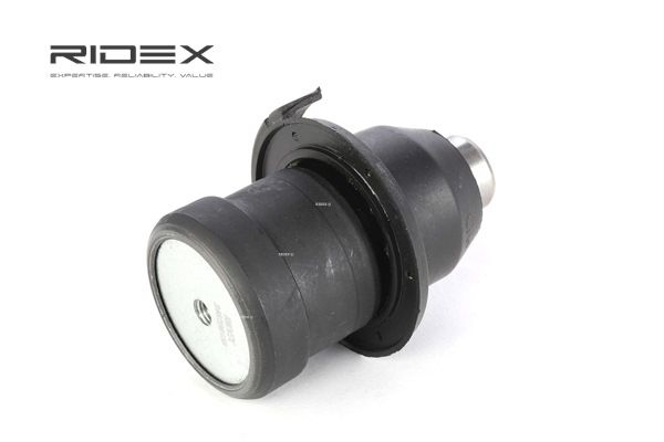 RIDEX 2462S0158 Ball joint CHRYSLER NEON II 2.0 16V R/T Petrol 150 hp 2006 price