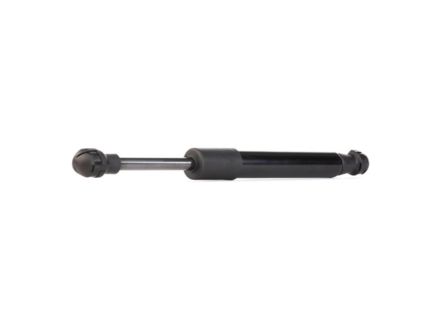RIDEX 219G0388 Boot struts PORSCHE 911 (996) 3.4 Carrera Petrol 301 hp 2001 price