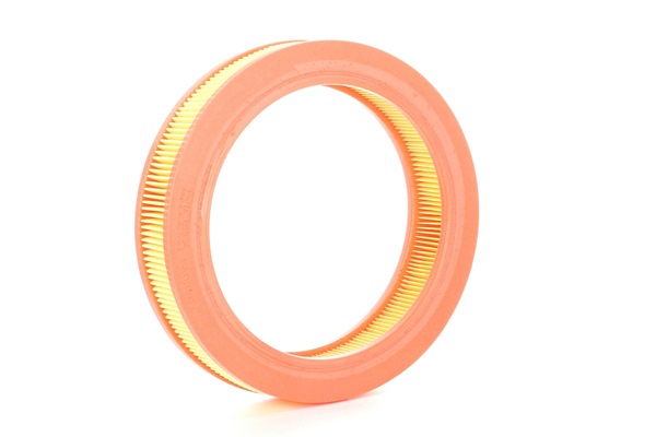 RIDEX 8A0390 Filtros de aire Ford Escort GAF 1.1 Gasolina 50 cv 1989 precio