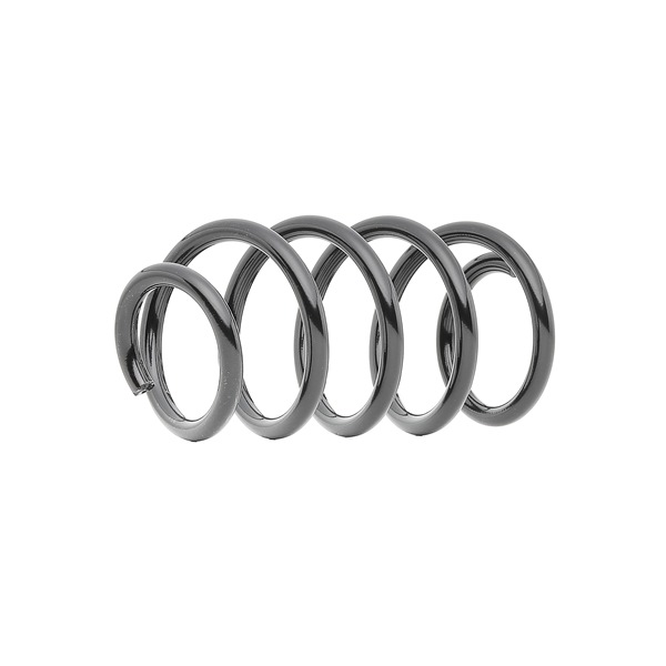 KYB RG6455 genuine RENAULT LOGAN coil spring rear and front price