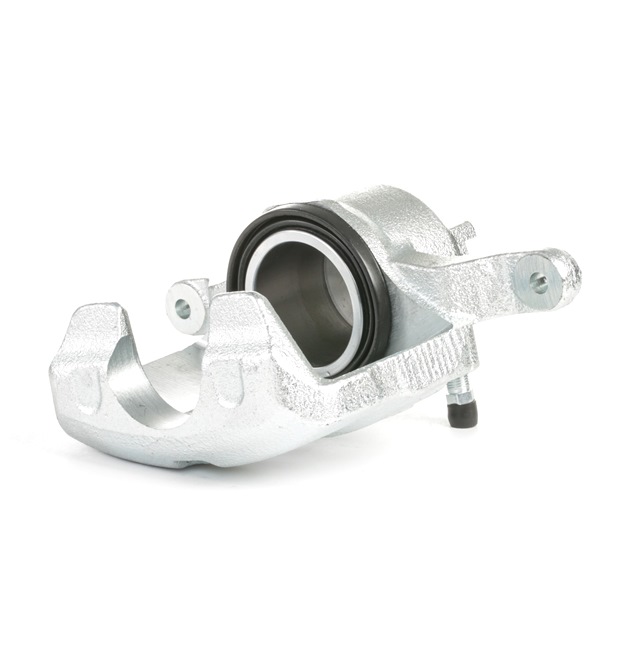 Jarrusatula STARK SKBC-0460679