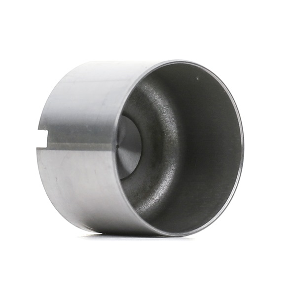 FRECCIA PI 03-110 Hidrokompensatoriai CHRYSLER 300 C Sedanas (LX, LE) 2.7 benzinas 193 AG 2009