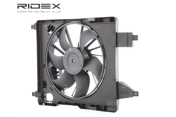 RIDEX 508R0019 Вентилятор охлаждения двигателя RENAULT SCÉNIC II (JM0/1_) 1.6 бензин 113 л.с. 2006