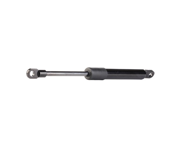 RIDEX 219G0497 Pistoncini portellone PORSCHE 911 2.0 S Benzina 170 CV 1969 prezzo
